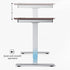 Maidesite Executive Series 55 inch Height Adjustable Standing Desk With Curved Desktop